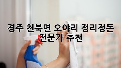 경주 천북면 오야리 정리정돈 전문가 추천