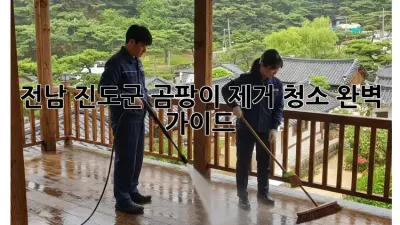 전남 진도군 곰팡이 제거 청소: 완벽 가이드