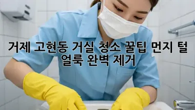 거제 고현동 거실 청소 꿀팁: 먼지, 털, 얼룩 완벽 제거!