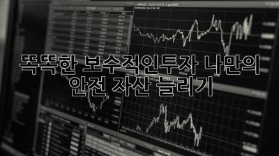 💰 똑똑한 #보수적인투자, 나만의 안전 자산 늘리기 🛡️